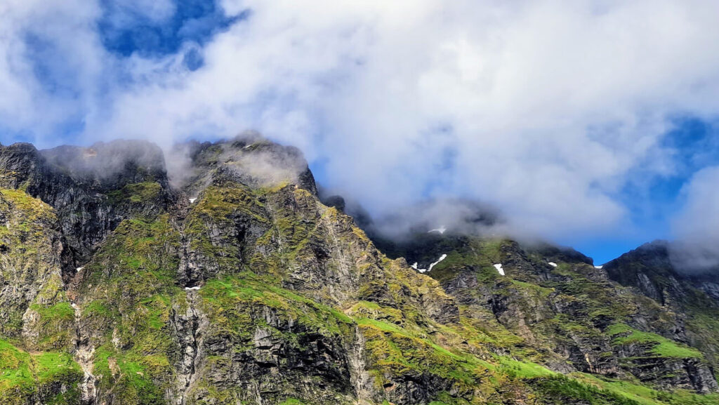 Cupiditate non provident, similique