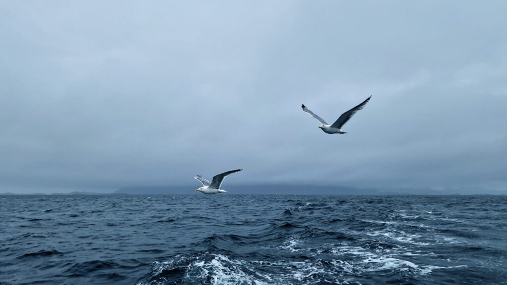 Well, not at making them