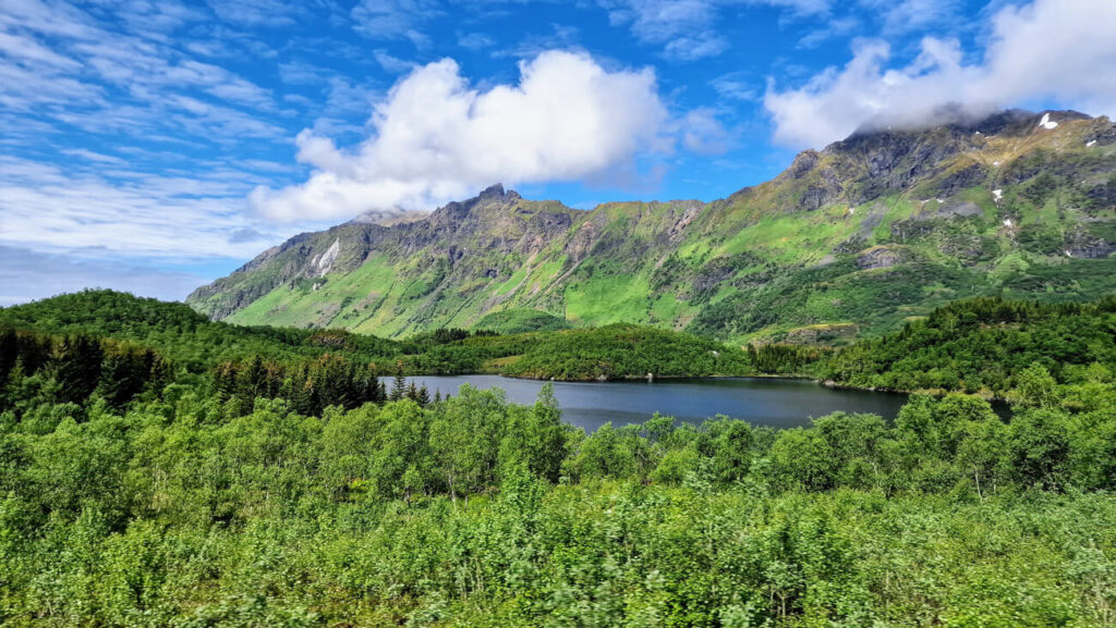 And, now Your Highness, we will discuss